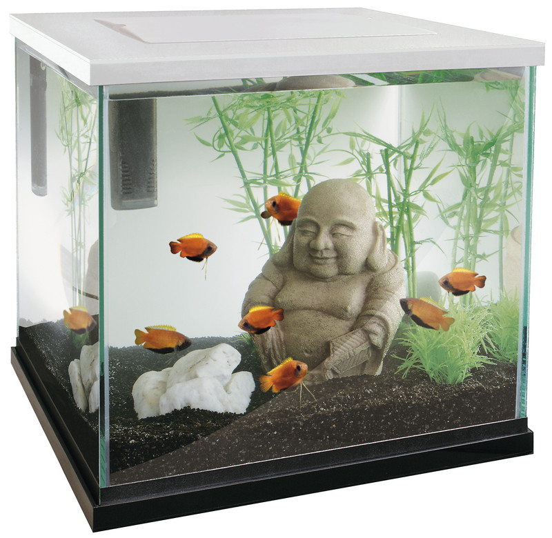 SuperFish aquarium Zen 30 wit Dierenwereld XL